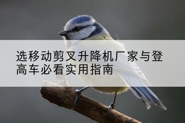 闻喜电动升降机厂家-选移动剪叉升降机厂家与登高车必看实用指南