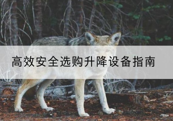 闻喜升降货梯厂家推荐-*安全选购升降设备指南
