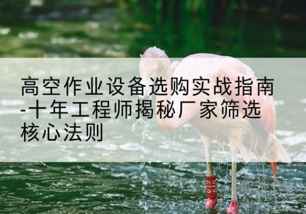 闻喜剪叉式升降机厂家-高空作业设备选购实战指南-十年工程师揭秘厂家筛选核心法则